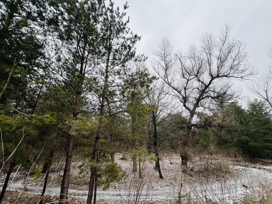 Продам Участок в Обуховке река лес пляж