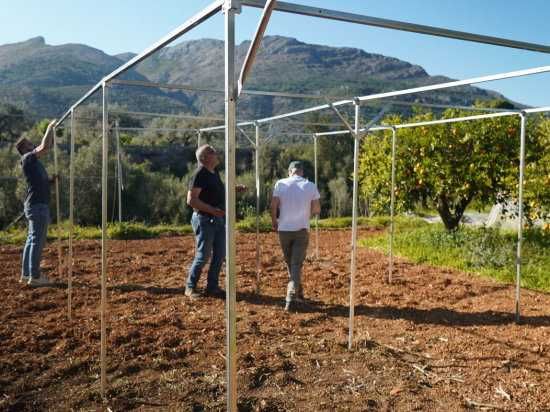 Estufa 4 x 6 m, 24 m², rede anti-trips 20x20