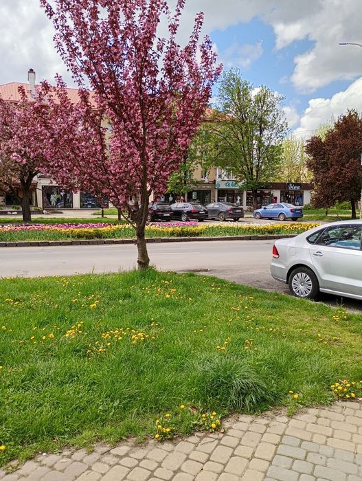 Прийму в дар любе житло