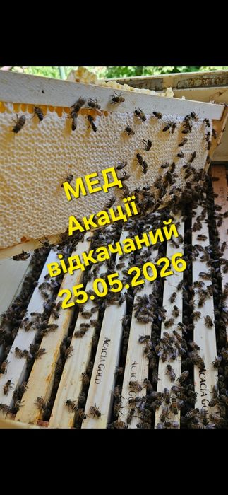 Мед з власної пасіки 2026 року