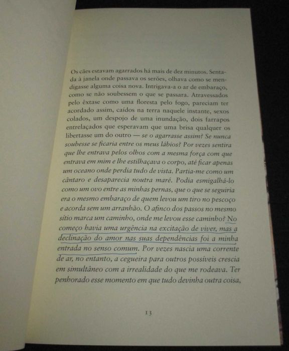 Livro Sara Ricardo Norte