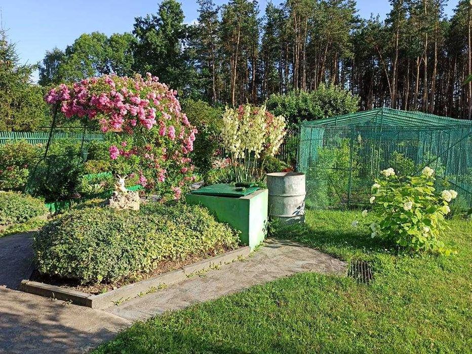 Działka ROD Golejów Staszów - Widok 5