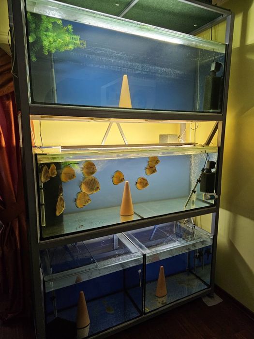 Аквариумная стойка с металлоконструкцией и аквариумное оборудование