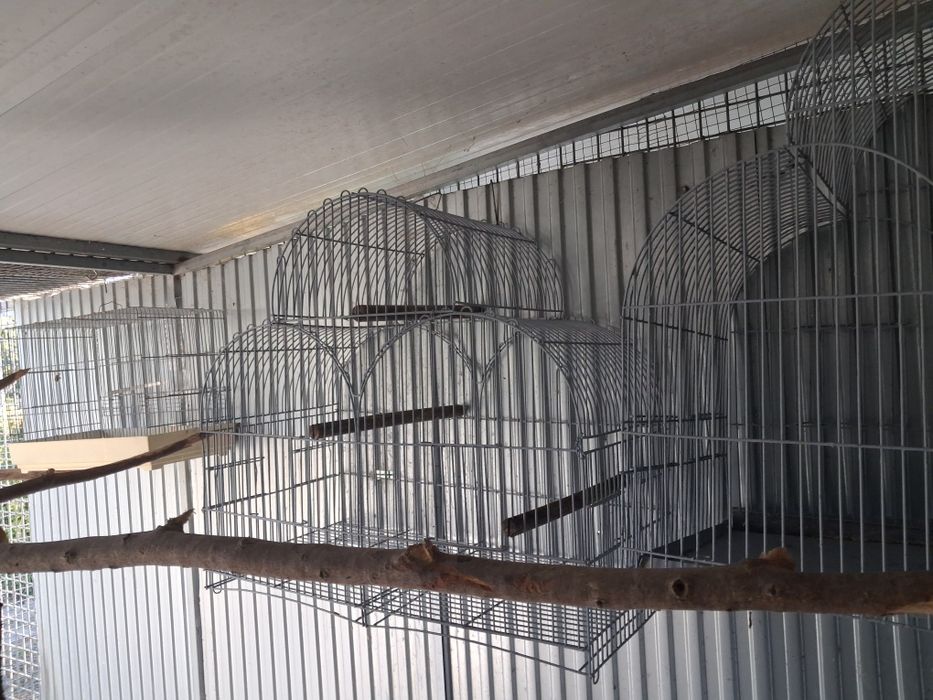 Gaiolas aves pequenas  e papagaios