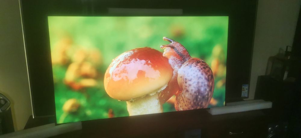 Telewizor 65' LG oled nowy