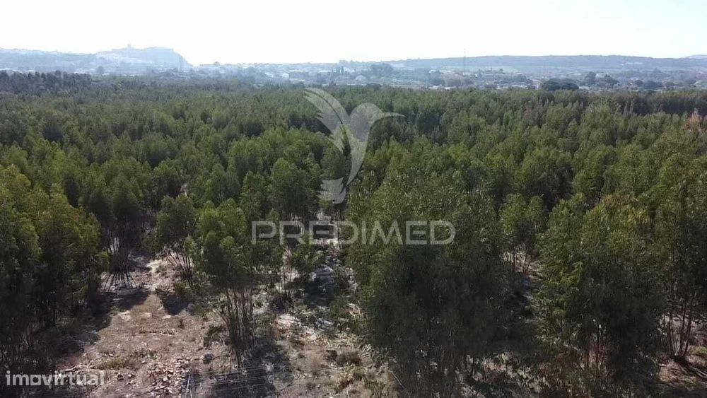 Lote de Terreno em Palmela