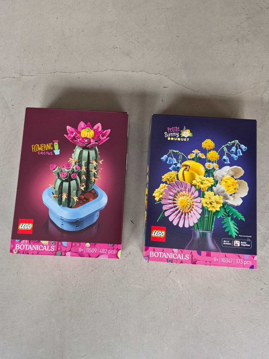 Cato em Flor 11509 | Pequeno Buquê 10347 | Botanical Collection