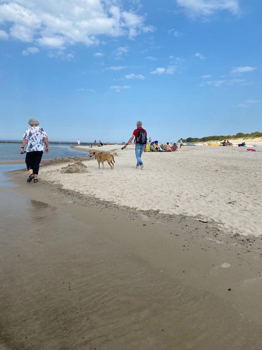 Maj, czerwiec promocyjne pakiety pobytowe. Blisko plaża i las.