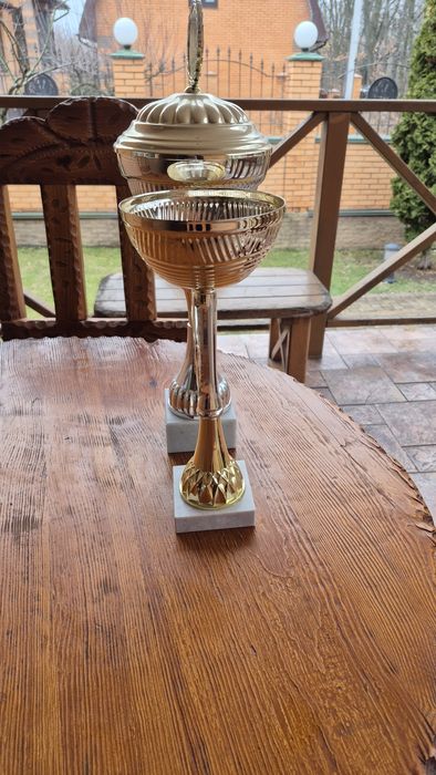 Кубки наградные, универсальные. Цена за 2 кубка.