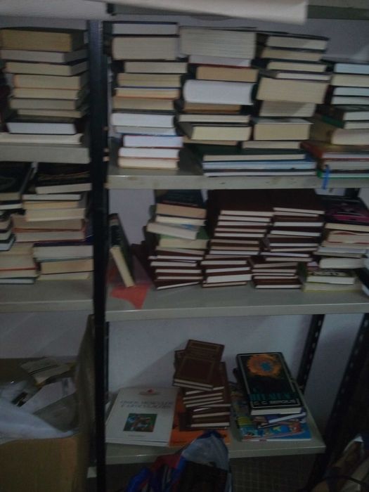 lote de livros todos como novos