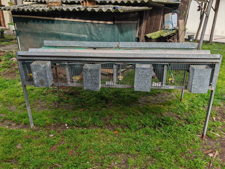 Jaula para perdizes/codornizes