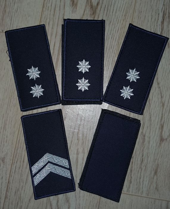 Погони Національної поліції України