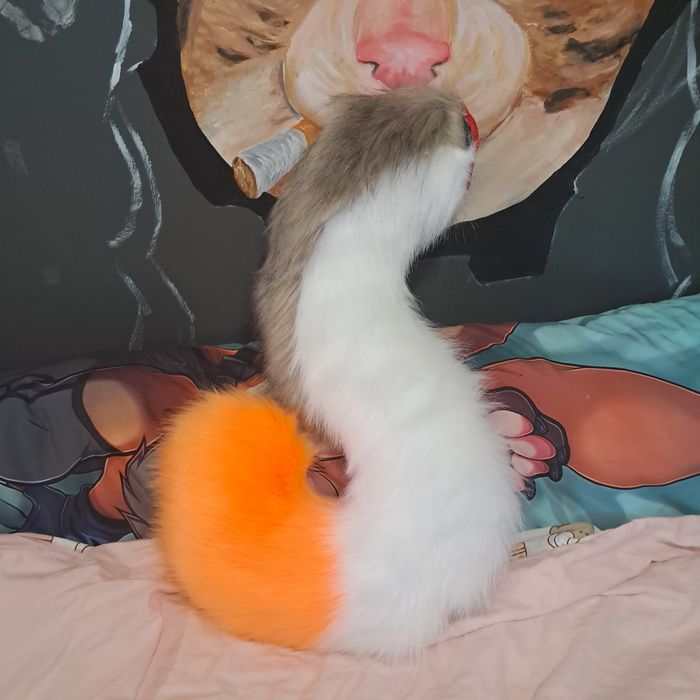 Furry fursuit kot