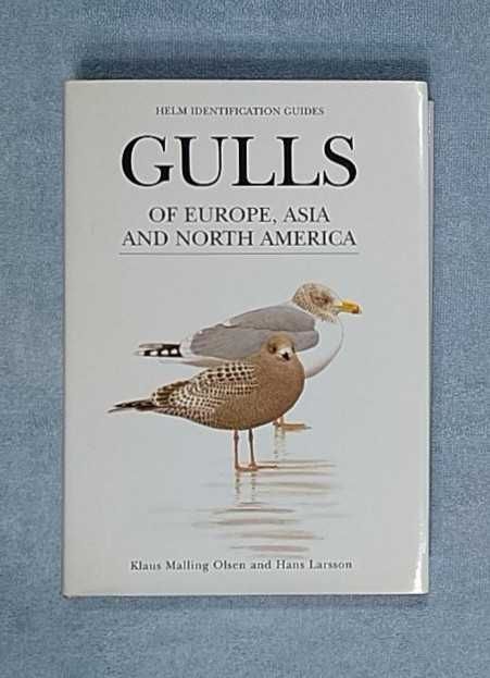 Mewy Europy, Azji i Ameryki Północnej po angielsku