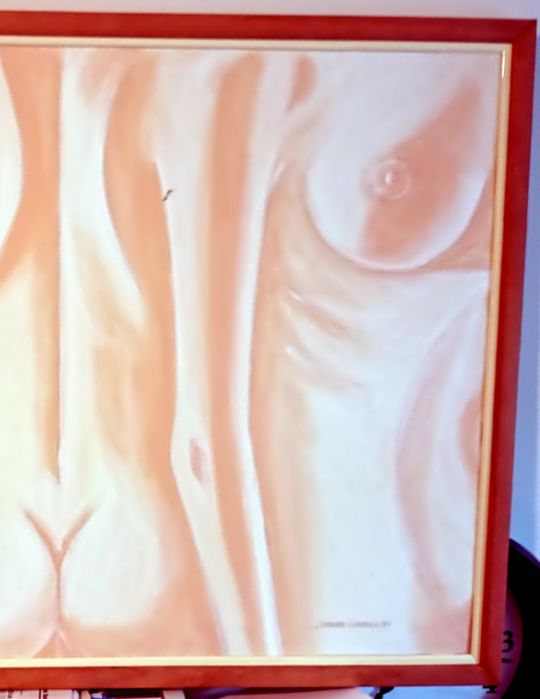 Pintura original  "Mulher Planificada"