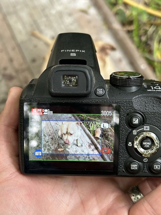 fujifilm s3200 - Купить электронику - Цены на OLX.ua