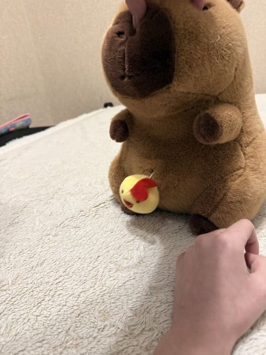 Мягкая копибара