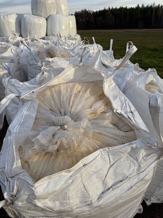 Kukurydza kiszona ccm