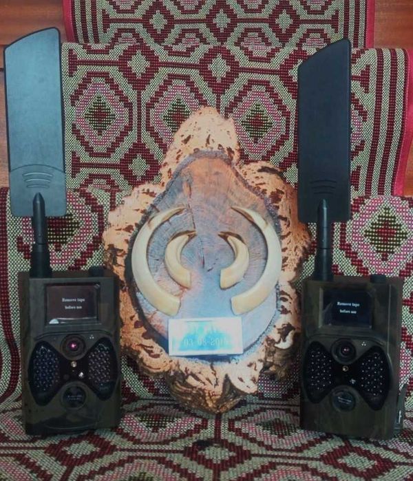 Câmara de caça e monitorização