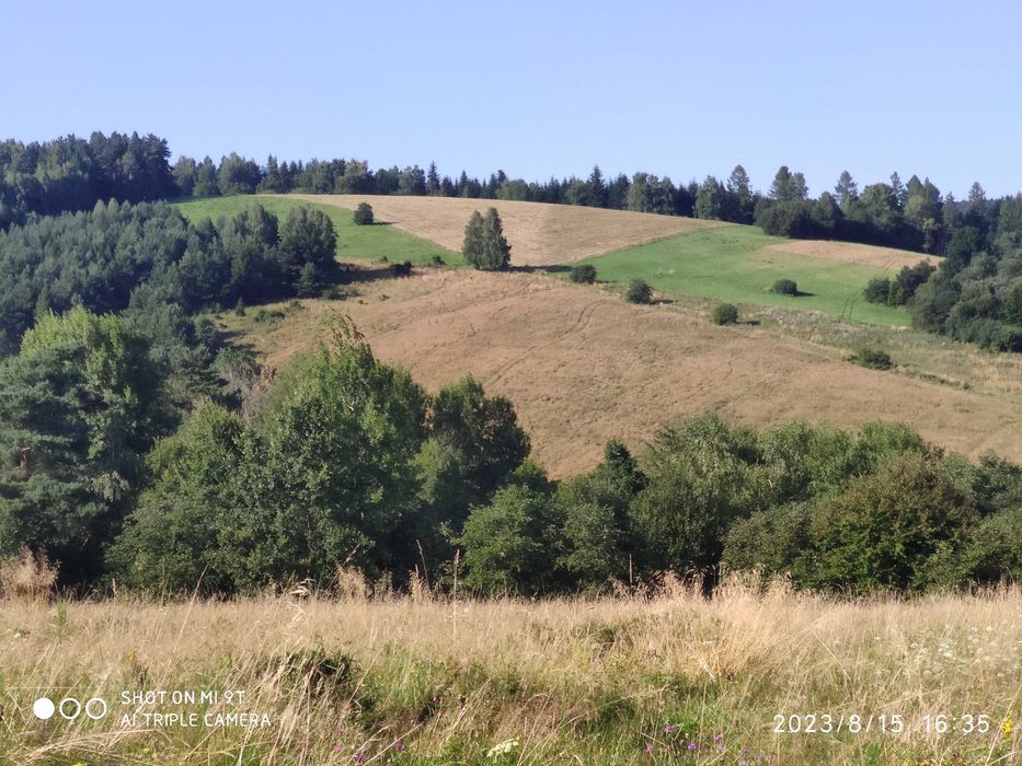 sprzedam działkę w Bieszczadach - View 3