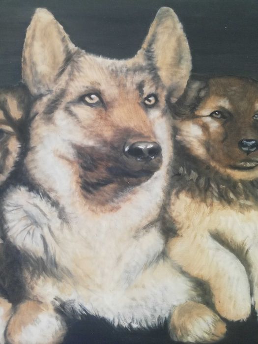 Duży obraz psy owczarek niemiecki wilczur szczenięta, pies na płótnie