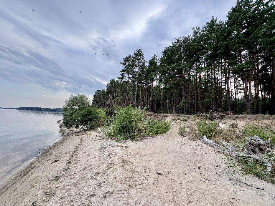 Продаж ділянки від 40 соток до 10Га. с. Ясногородка Киівська область