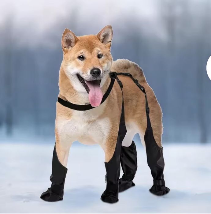 Продам взуття для собаки