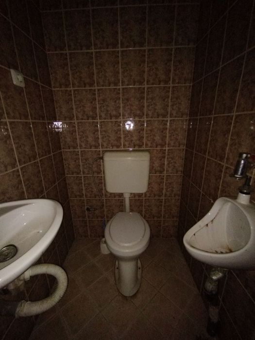 Будинок в Закарпатська обл. Берегівський р-н. с. Бадалово