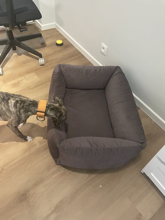 Sprzedam kojec dla malego psa