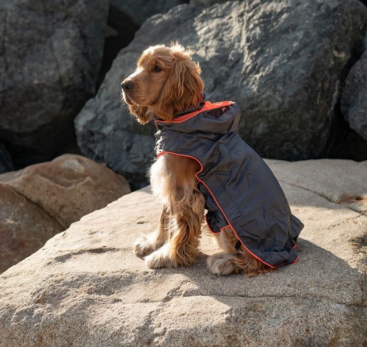 Жилетка плащ одежда для собак