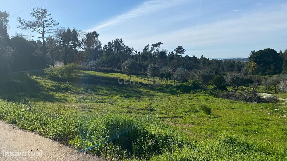 Terreno para construção – a 15 minutos de Tomar e do Entroncamento (Li