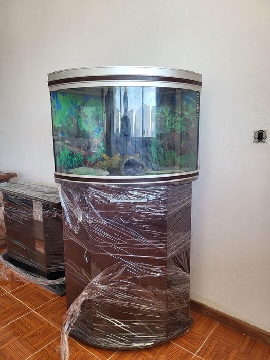 Aquários com ou sem Móvel