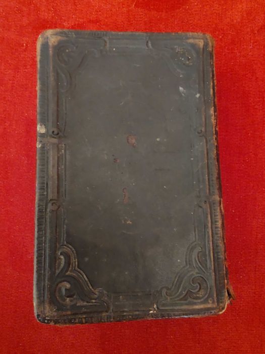 Głos Synogarlicy 1875r. - Praca Zbiorowa