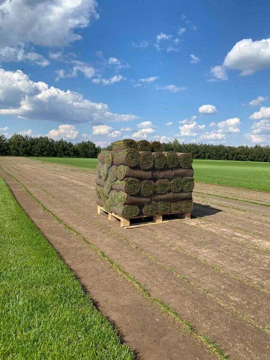 Увага Акція! на Якісний Рулонний газон Газон в рулонах від Виробника!