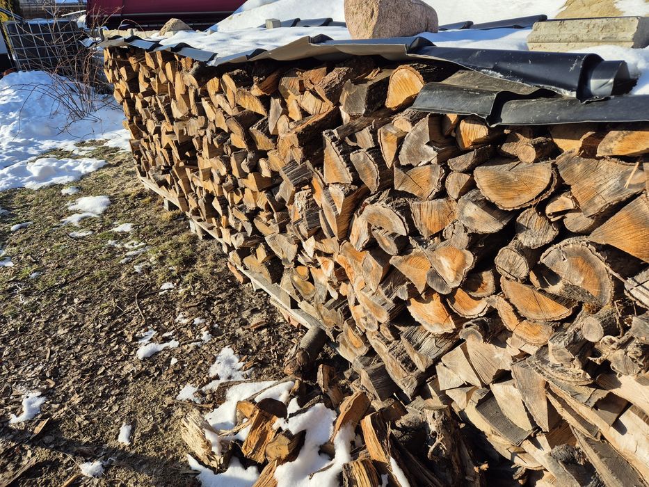 Drzewo opałowe (dąb)