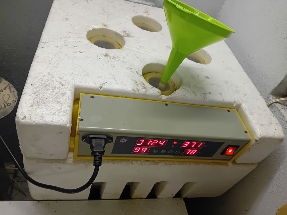 Chocadeira 48 ovos