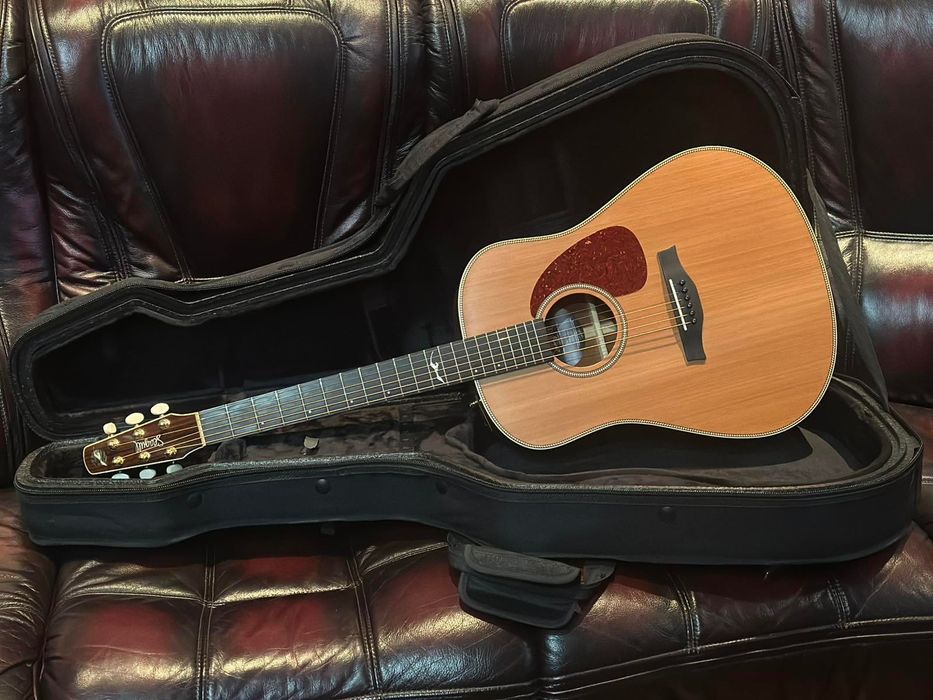 Н.Р.Sale! Seagull Artist Mosaic Dreadnought (Canada, Cedar Top, 990$)