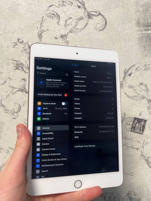 Ipad mini 5 256gb