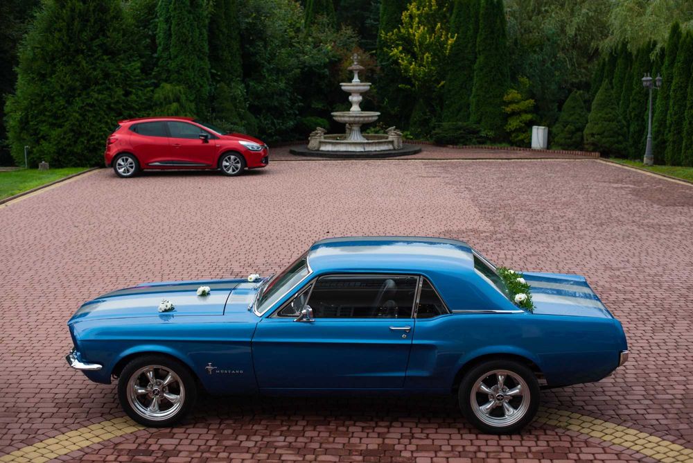 Mustangiem do ślubu. Ford Mustang 1967 V8