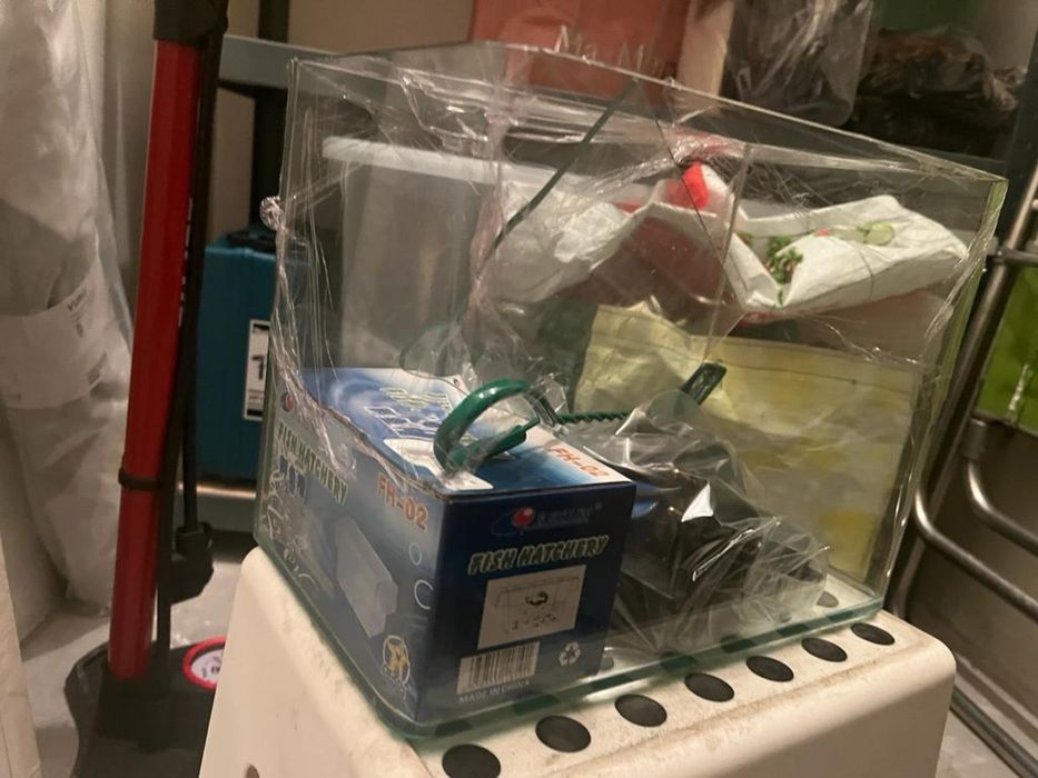 Aquário para peixes água quente
