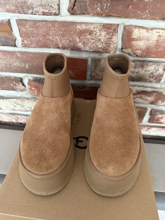 Ugg dipper miodowe