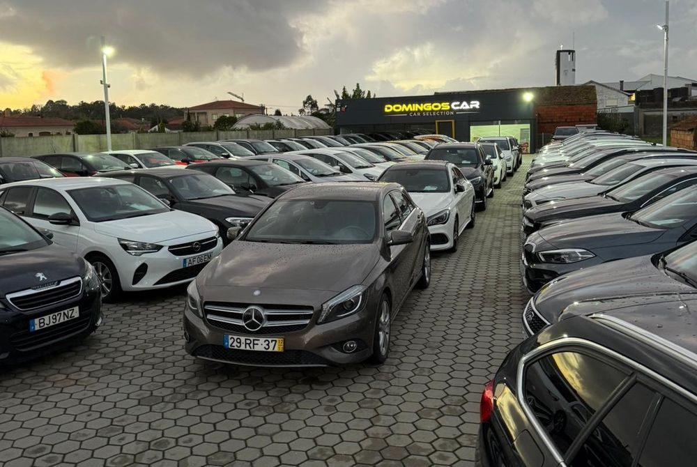 business-site-gallery-photo