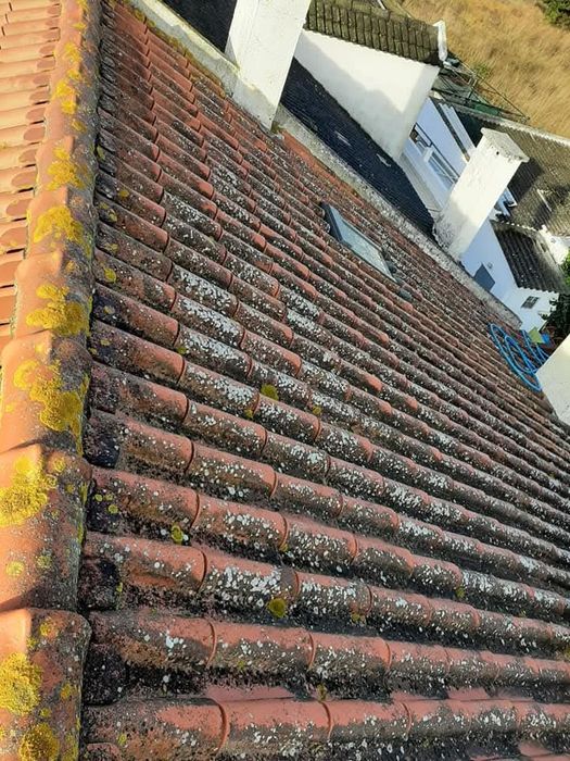 Serviços de Limpeza e Manutençao
