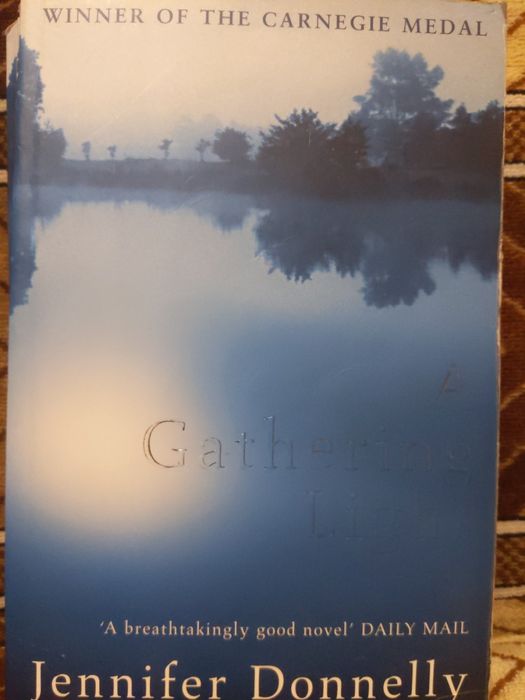 Книга англійською Дженніфер Доннеллі Gathering light