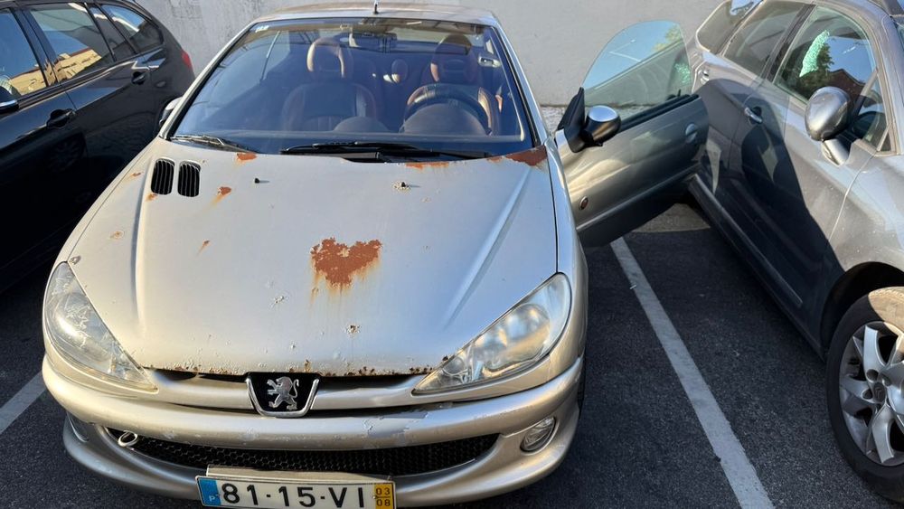 PEUGEOT 206-CC Roland Garros