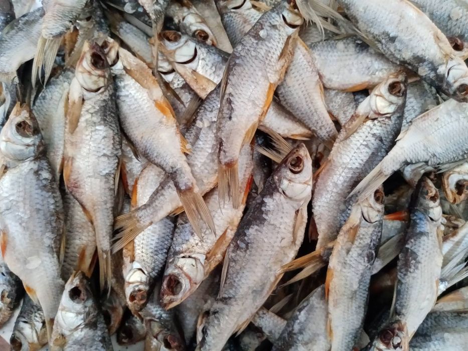 Тарань в'ялена  без ікри