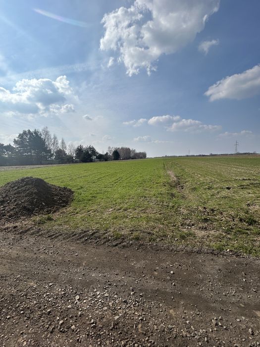 Zdjęcie 4