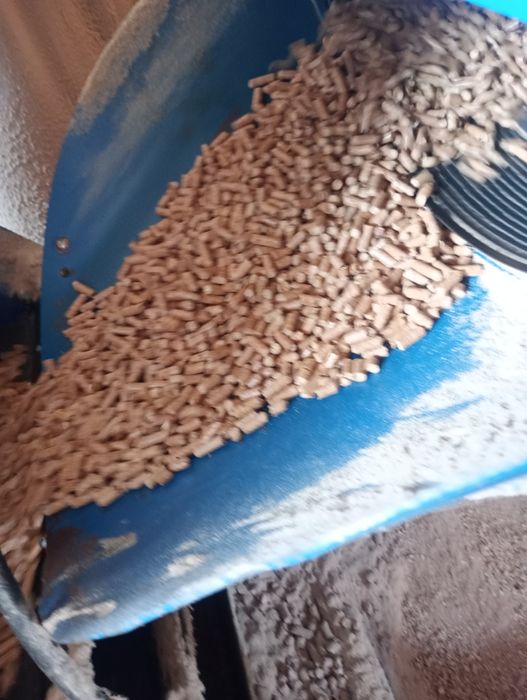 Pellet. Sosnowy . A 1