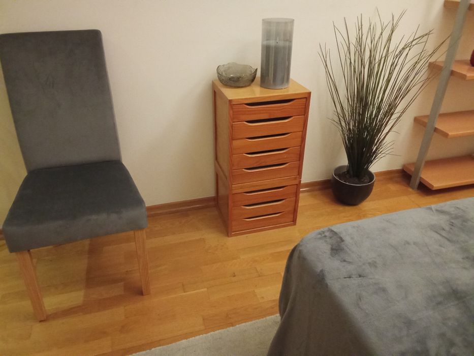 Cadeira com costas, móvel de gavetas e planta com vaso
