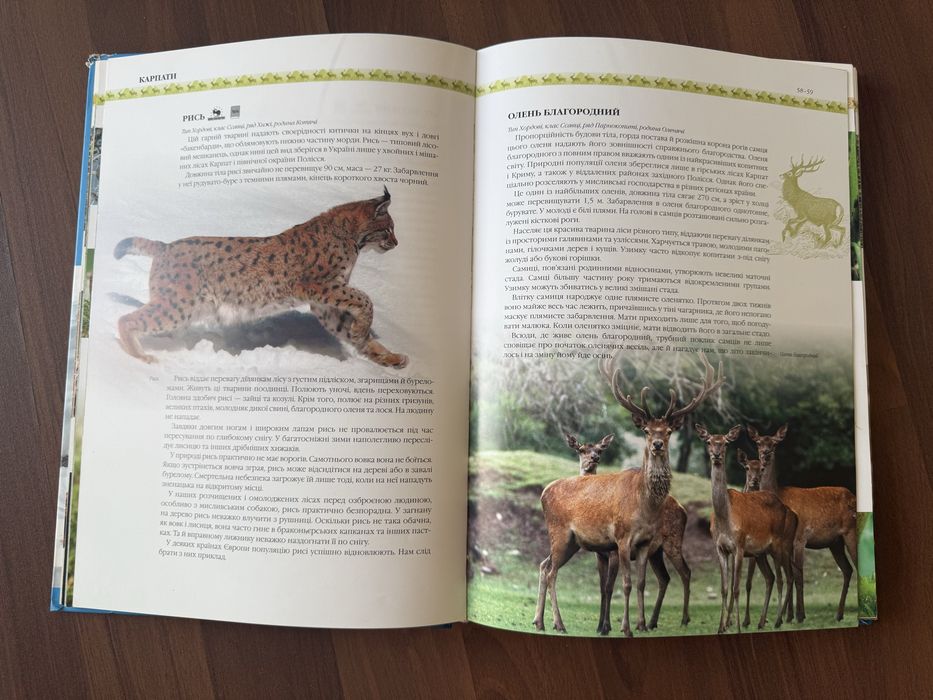 Природа України: тварини, птахи, комахи, риби - гарна енциклопедія